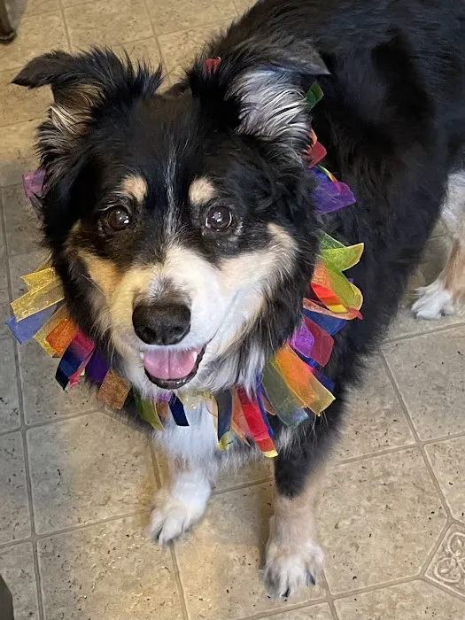Everett Veterinary Hospital 2