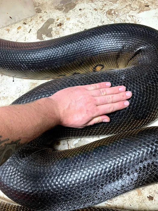 DNA Slithers & Critters LLC 12