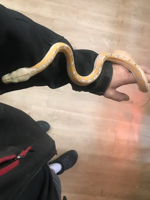 DNA Slithers & Critters LLC 12
