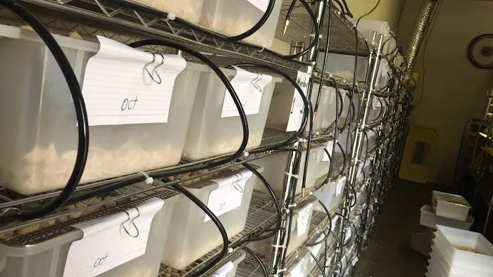 DNA Slithers & Critters LLC 12