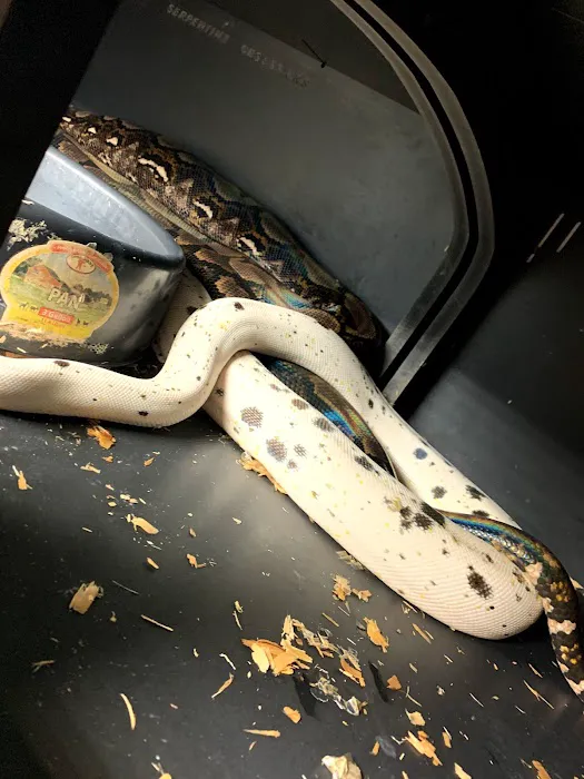 DNA Slithers & Critters LLC 12
