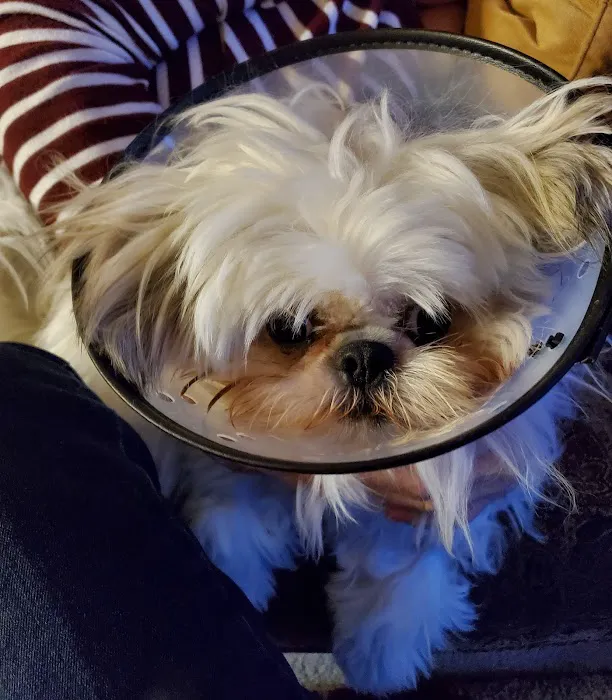 Broadway Animal Hospital 6