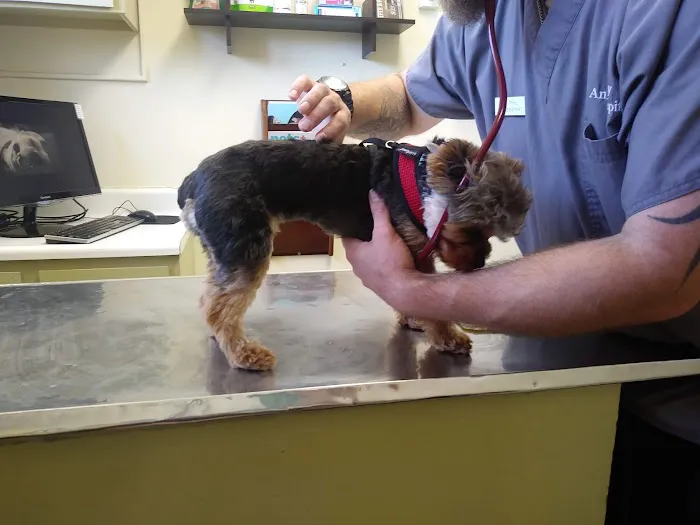 Broadway Animal Hospital 5