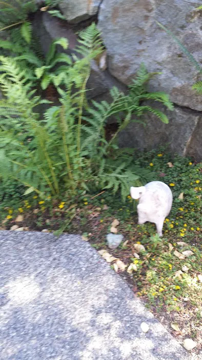Good Neighbor Vet 2