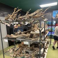 Scales 'N Tails Northglenn ico