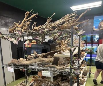 Scales 'N Tails Northglenn