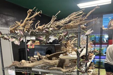 Scales 'N Tails Northglenn