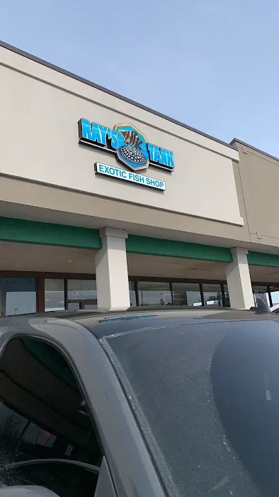 Rays Tank (Exotic Freshwater Fish Store) 12