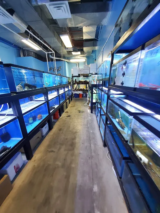 Rays Tank (Exotic Freshwater Fish Store) 12