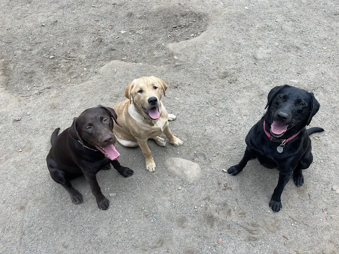 Lake Stevens Animal Hospital for Minor Emergency Care, Wellness Care and Surgical Care. 8