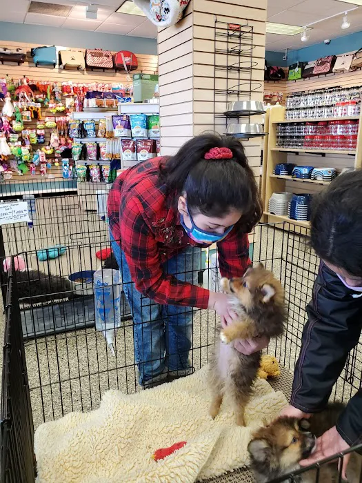 Pet Ranch 12