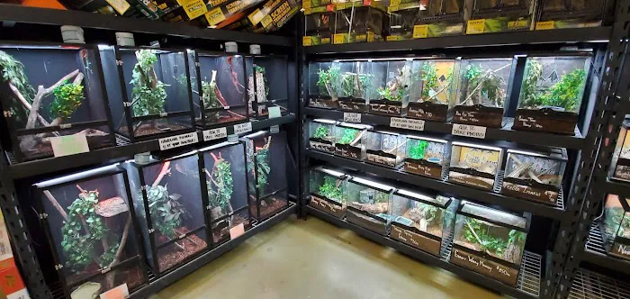 5280 Reptile Room - North 12