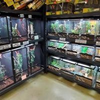 5280 Reptile Room - North ico