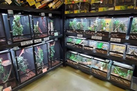 5280 Reptile Room - North