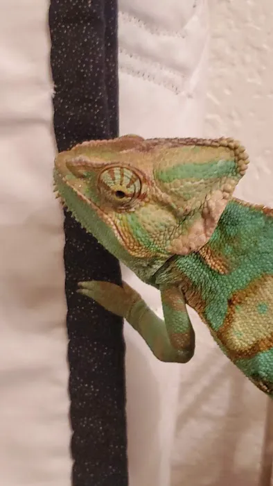 5280 Reptile Room - North 12