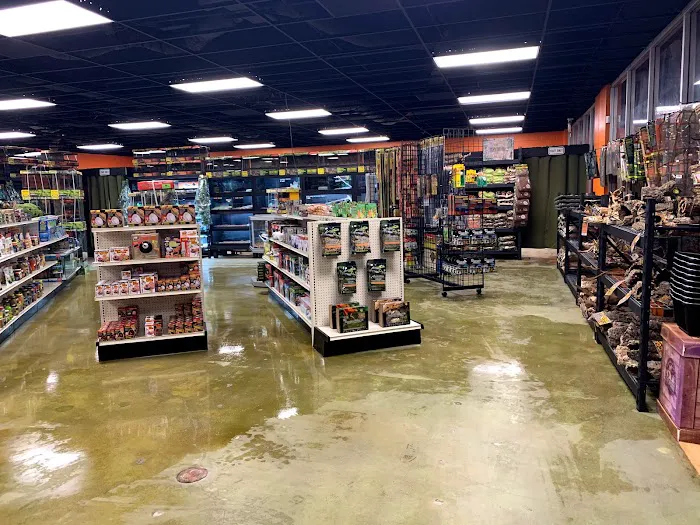 5280 Reptile Room - North 12