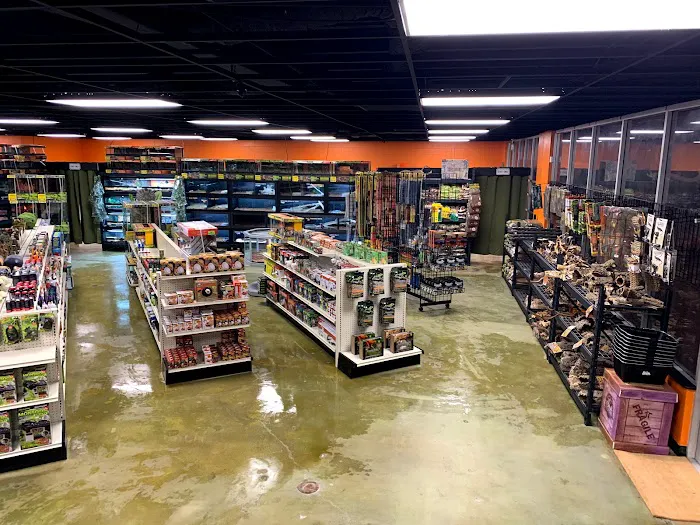 5280 Reptile Room - North 12