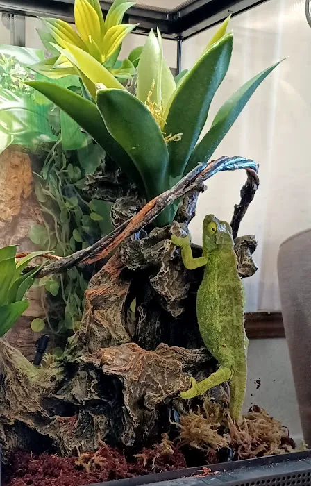 5280 Reptile Room - North 12