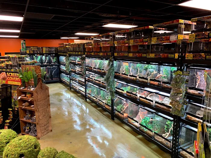 5280 Reptile Room - North 12