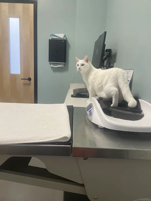 Frontier Village Veterinary Clinic 6