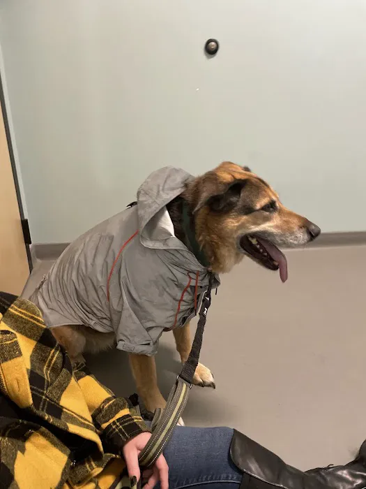 Frontier Village Veterinary Clinic 4