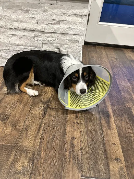 Frontier Village Veterinary Clinic 10