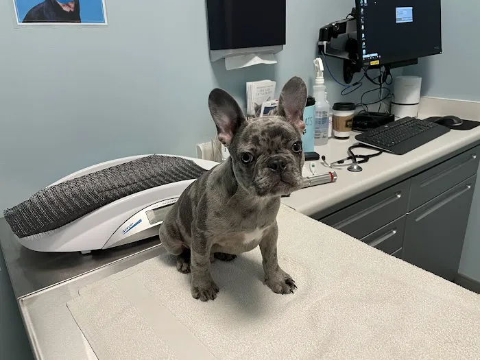 Frontier Village Veterinary Clinic 3