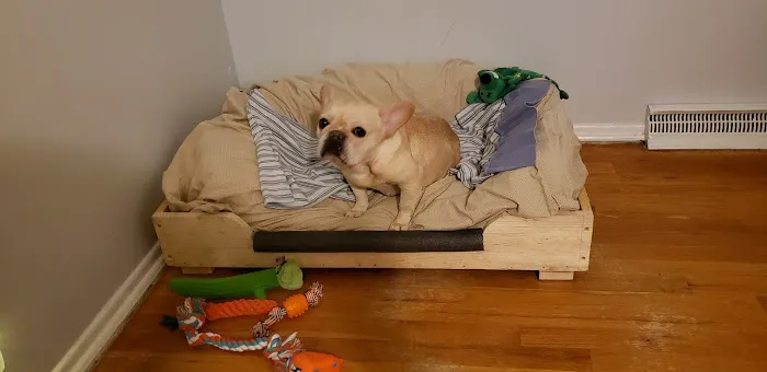 Petco 12