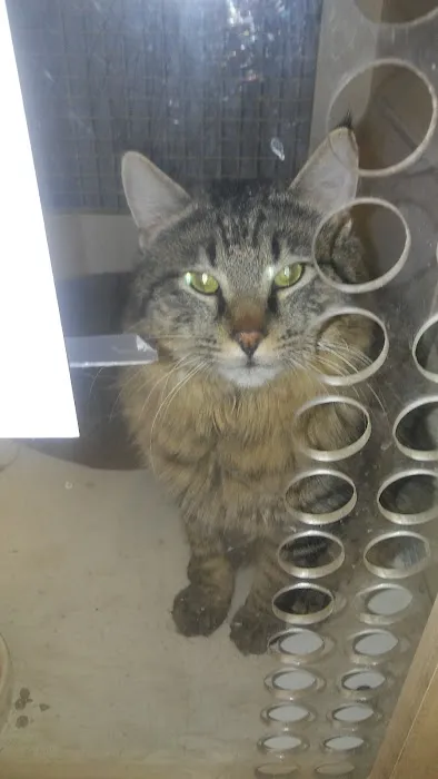 Petco 12