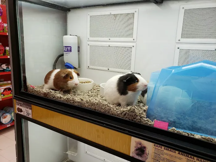 Petco 12