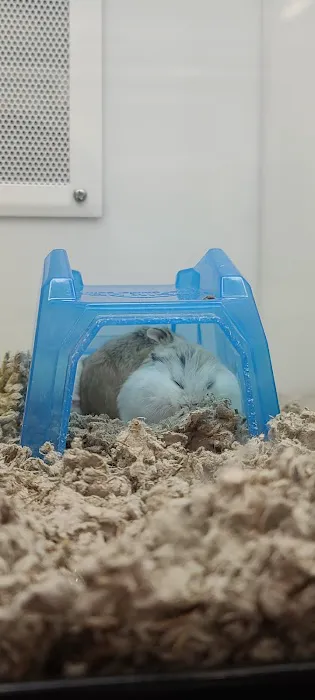 Petco 12