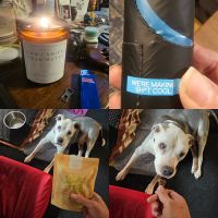 The Raw Pet Company ico