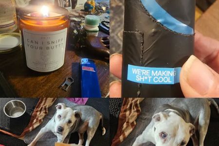 The Raw Pet Company