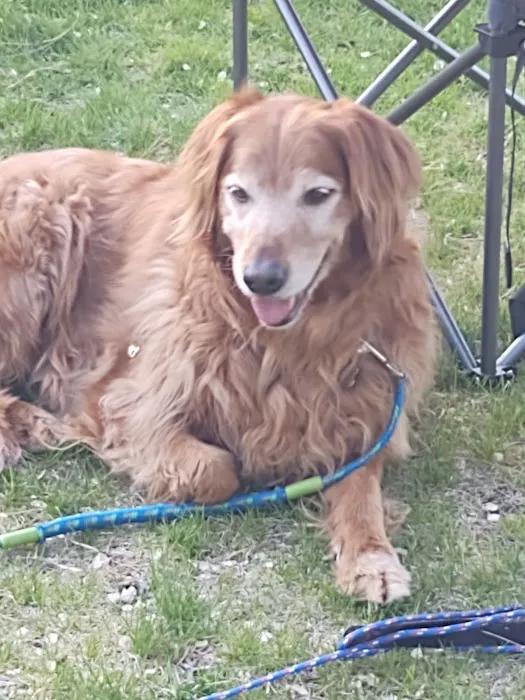 South Whidbey Animal Clinic 10
