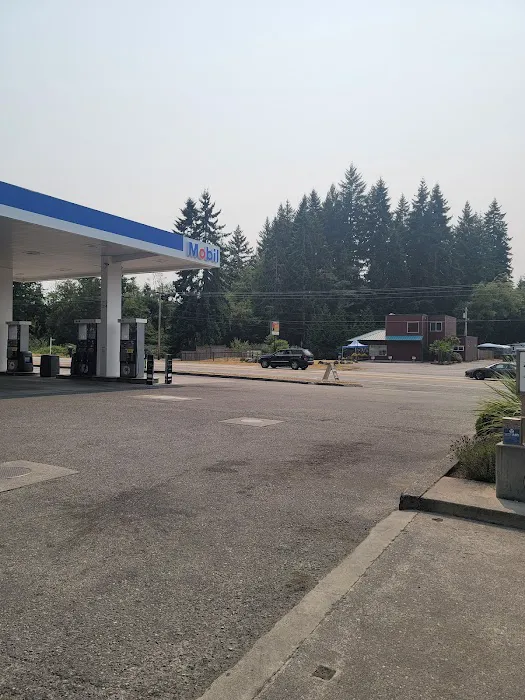 South Whidbey Animal Clinic 8