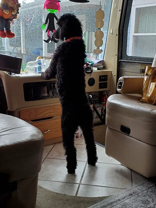 South Whidbey Animal Clinic 5