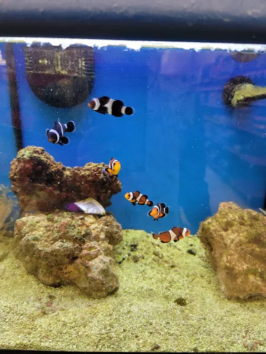 Petco 3