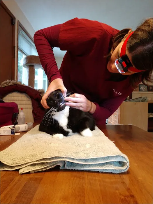 House Pet Vet Visits 3