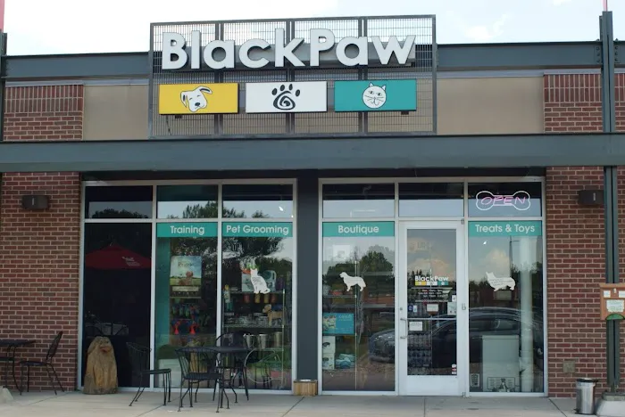 BlackPaw 12