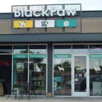 BlackPaw ico