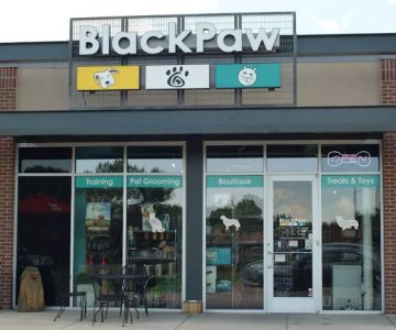 BlackPaw