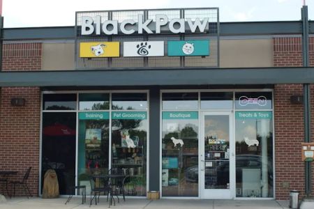 BlackPaw