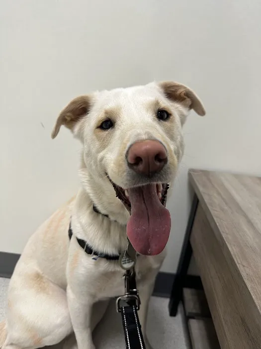 Sammamish Highlands Veterinary Hospital 1