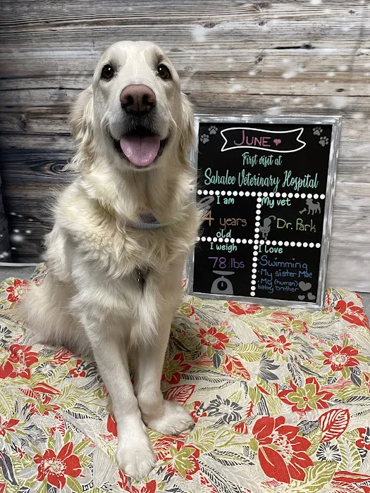 Sahalee Veterinary Hospital 7