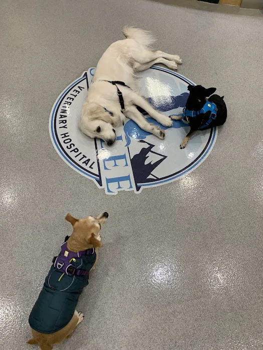 Sahalee Veterinary Hospital 10