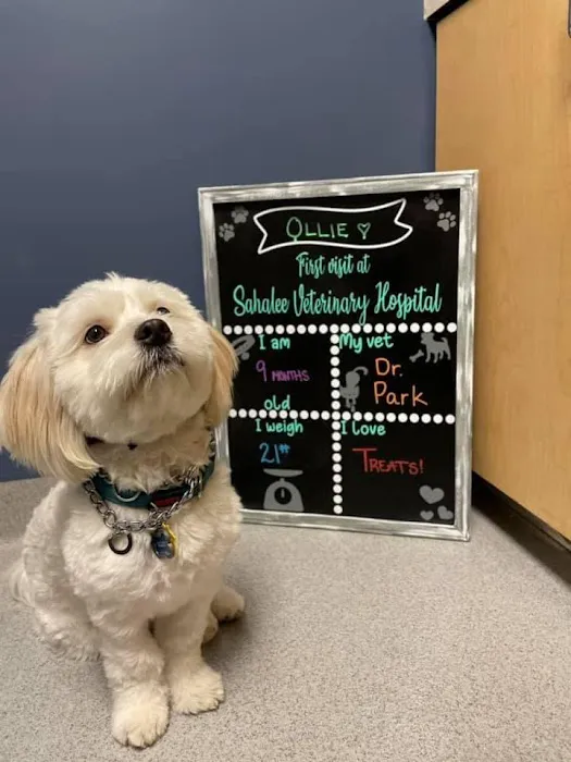 Sahalee Veterinary Hospital 1
