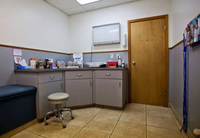 VCA Pine Lake Animal Hospital 2