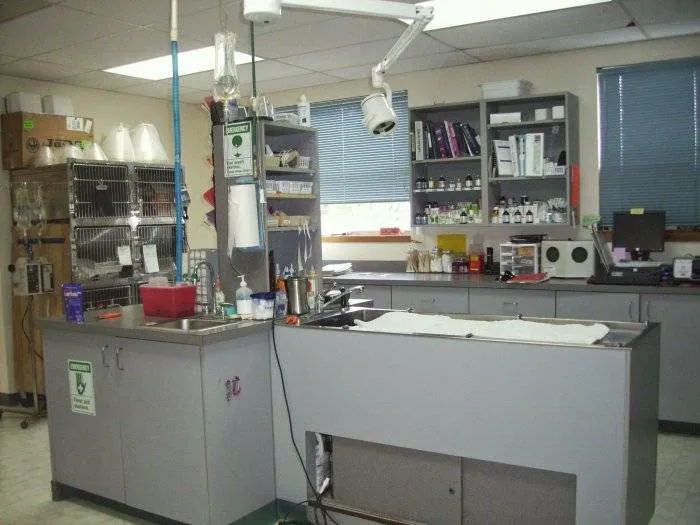 VCA Pine Lake Animal Hospital 10