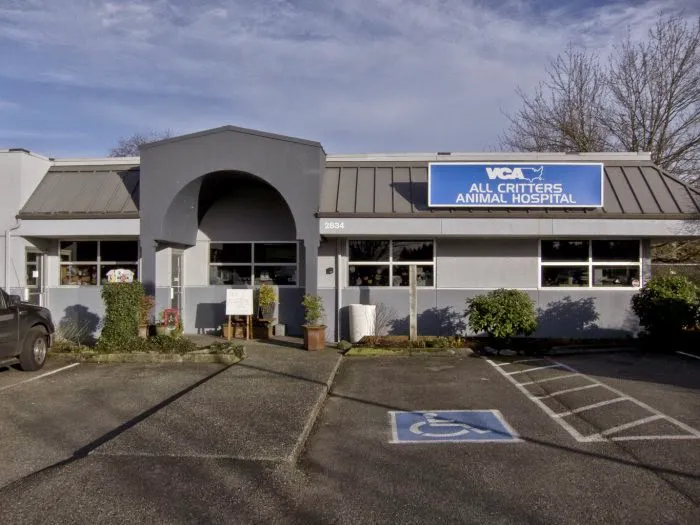 VCA Pine Lake Animal Hospital 1