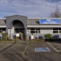 VCA Pine Lake Animal Hospital ico
